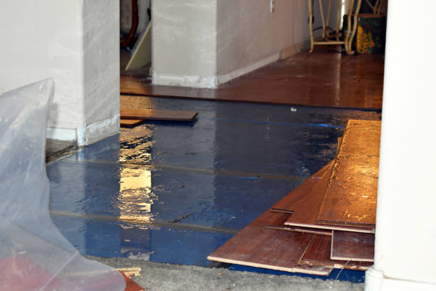 Professional Burst Pipe Cleanup technician working in Leander, TX